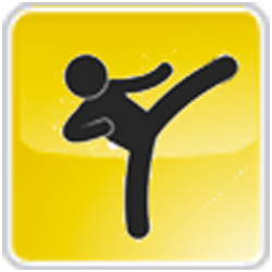 Taekwondo-WMG-2013