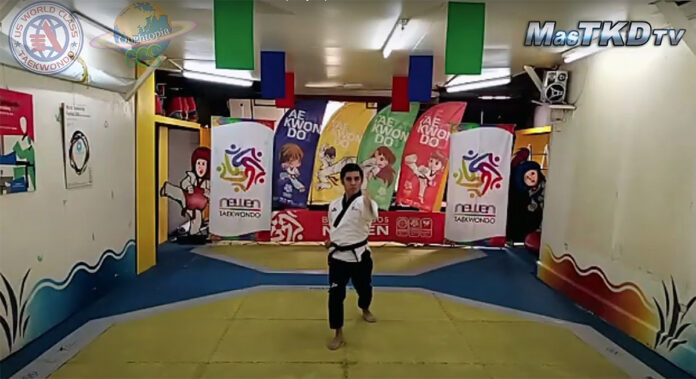 2020 World Virtual Taekwondo Festival