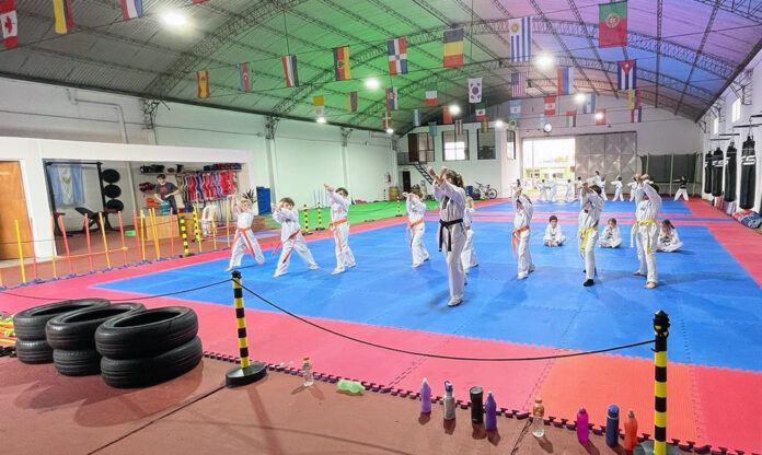 Webinar: “Introducción a la docencia en el Taekwondo”