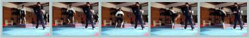 2008-12-24_(A)x_masTaekwondo_Taekwondo_y_Pliometría_PLIO2b