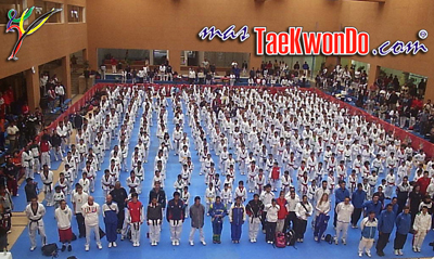 MasTaekwondo.com III: “El gran salto internacional”