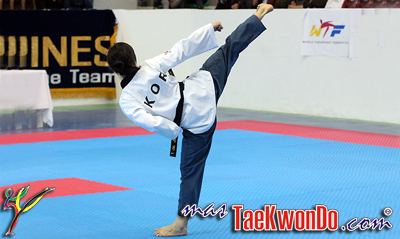 Poomsaes: “La esencia y los más íntimos cimientos del Taekwondo”