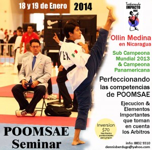 2014-01-17_(73771)x_Seminario Internacional Poomsaes con Ollin Medina
