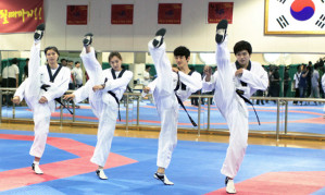 El presidente de la WTF, Dr. Choue dice que para que el Taekwondo sea más llamativo para la audiencia global, debería tomar como modelo el voleibol de playa, que según el, dicho deporte es mucho más que solo tirar pelotas de una dirección a otra.