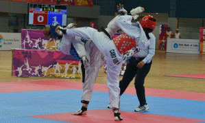 Resultados completos del Taekwondo durante los Juegos de la Lusofonia (exclusivos para países de habla portuguesa) que formó parte de este evento el 26 de enero de 2014 en el Multi-purpose Indoor Stadium, Peddem de la ciudad de Goa, India.