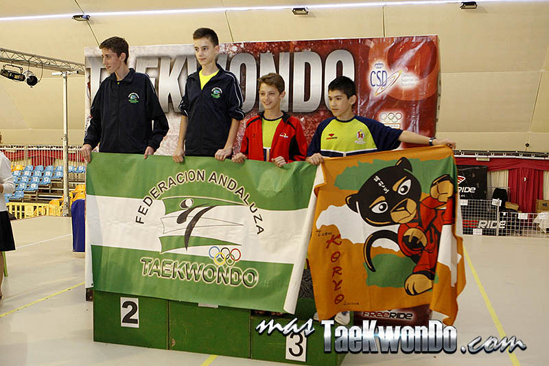 FEATHER Masculino -45 Kg. Campeonato de España Cadete de Taekwondo
