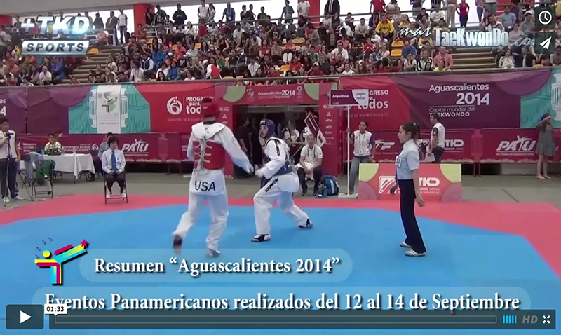 Video Resumen de Aguascalientes 2014
