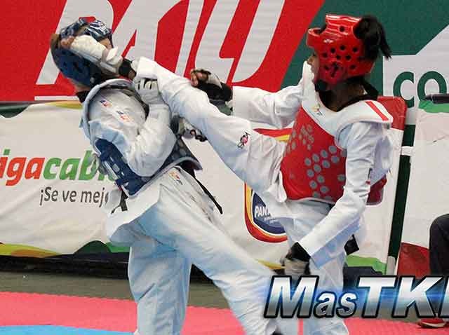 Fotos-D1_2015-Panamerican-Open_Taekwondo_home