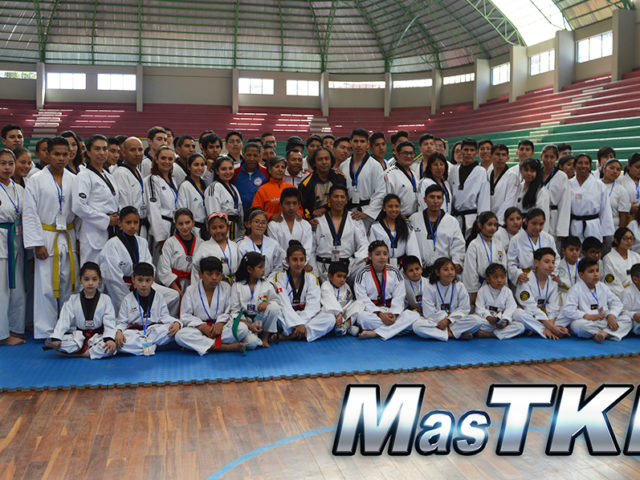 Campamento-Taekwondo_Participantes