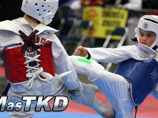 US World Open Taekwondo Championships