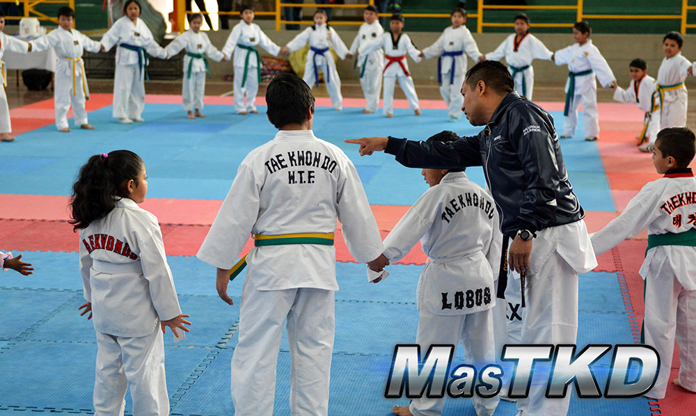 PROFESOR-EXPLICANDO-Taekwondo_