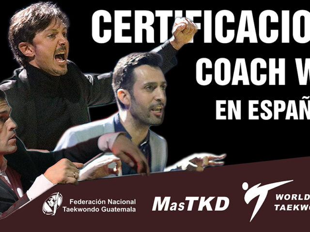 Curso online en español de certificación para Coach Internacional WT