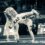 Imágenes: Campeonato Mundial de Taekwondo “Guadalajara 2022”